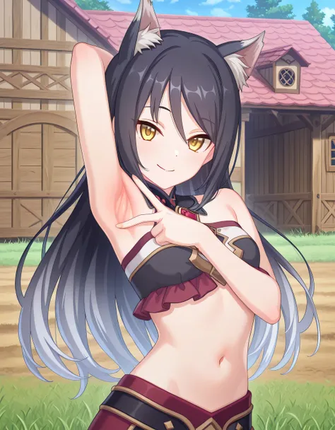 pcrshio, animal ears, animal ear fluff, black hair, gradient hair, yellow eyes, pshiodef,  bare shoulders, two-tone bandeau, anime screencap, high quality, solo, sunsetting, farm, grass, <lora:spread-armpit-illustriousxl-lora-nochekaiser:1>, spread armpit,...