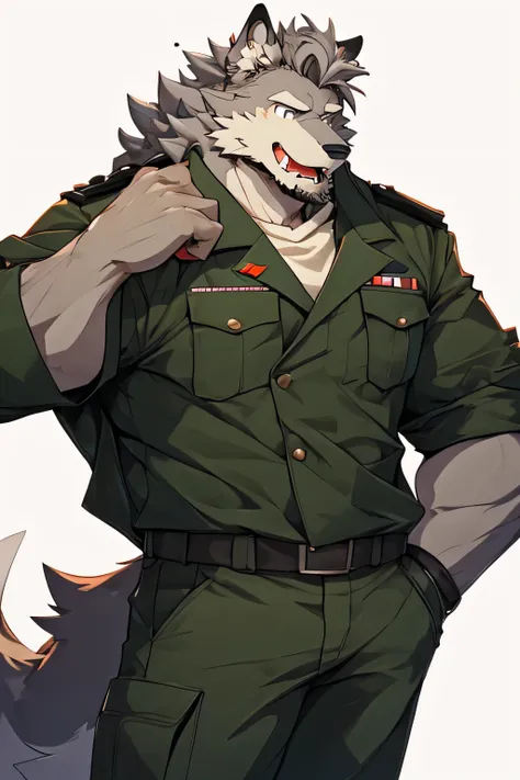 Right side image of a very muscular gray furry wolf. He is wearing a dark green military uniform. He is standing in the background. with red cheeks, White Background, simple background, Little pointy hair, messy hair, Gray Hair,  slightly open mouth , hapi...