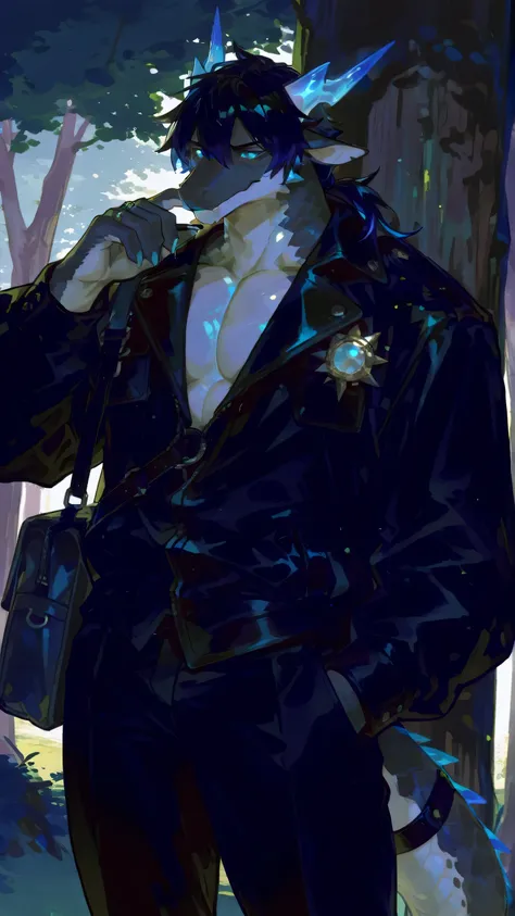 Masterpiece, best quality, 8k resolution, HDR, Sharp Focus, Bright Colors,  anime cartoon rendering style, Semi-realistic anime, With detailed furry features,  A mature male black dragon,White scales on abdomen and chin, extremely muscular, broad shoulders...