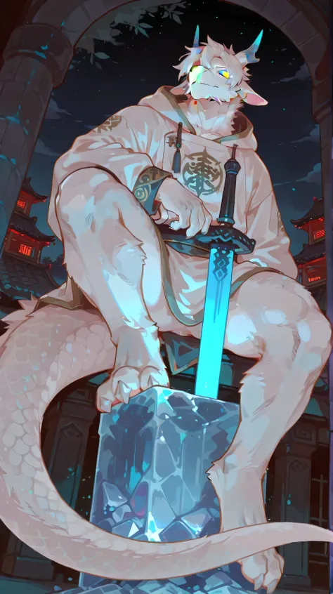 Full Body,body,male，furry male,solo,mature,muscle,dressed,Knight,Nightwear,hood,Sword,by zixiong,(study),China,Ming Dynasty，Grand Thief , white Dragon， white scales,white fur,furry,Dragon，gentle,animal ears，ice blue Dragon Horn,white hair，Tail,from below,s...