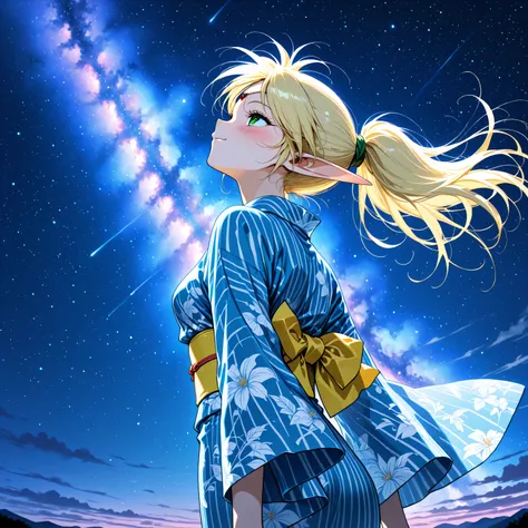 masterpiece,best quality,high score, highres, incredibly absurdres, amazing quality,8K, yuuki nobuteru artstyle,
1girl,solo,three quarter view,from behind,from below,milky way,(((double exposure))),
deedlit, pointy ears, elf, blonde hair, small breasts,pon...