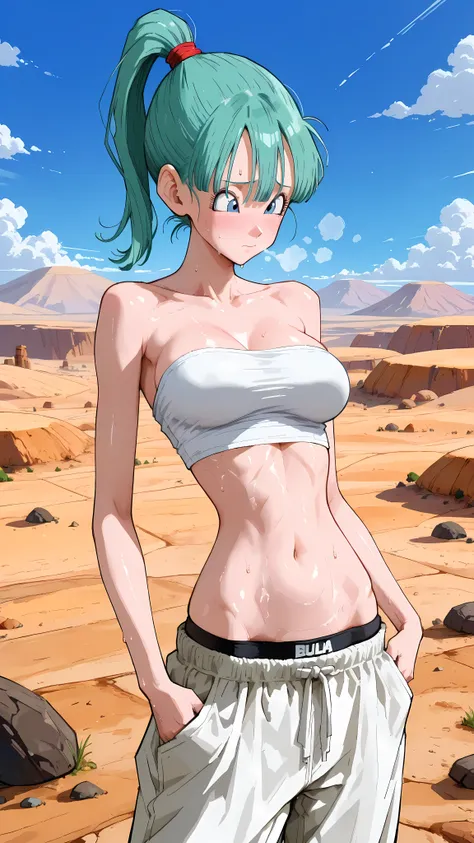 (masterpiece,best quality:1.2,amazing quality,very aesthetic, absurdres,newest) ,YamamotoXLP,,
 , bulma, dragon ball,1girl,solo,(ideal ratio body proportions:1.2) ,(slender body:1.2, skinny:1.2), medium breasts,aqua hair,high ponytail,shy,heavy breath,swea...