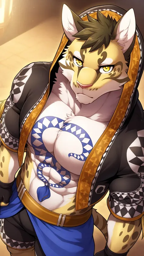 likulau, solo, furry, clouded leopard, tail, perfect eyes, yellow eyes, muscular, toned male, large pectorals, dynamic angle, from above, hood, open jacket, fingerless gloves, black shorts, close up, posing, unparalleled masterpiece, amazing quality, best ...