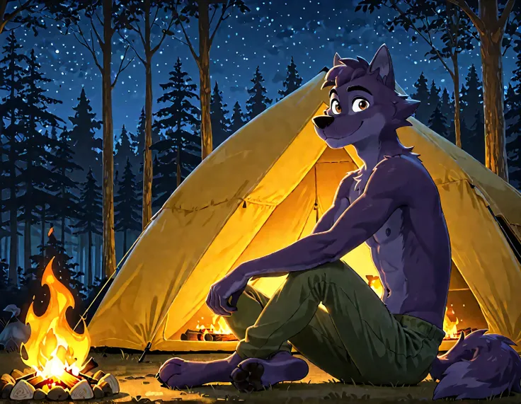 Lupin, dark purple fur, brown eyes, wolf, anthro, male, solo, half body, smile, high quality, night, forest, camping, tent, campfire, looking at viewer, sitting, pants