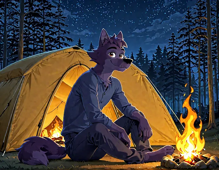 Lupin, dark purple fur, brown eyes, wolf, anthro, male, solo, half body, smile, high quality, night, forest, camping, tent, campfire, looking at viewer, sitting, pants
