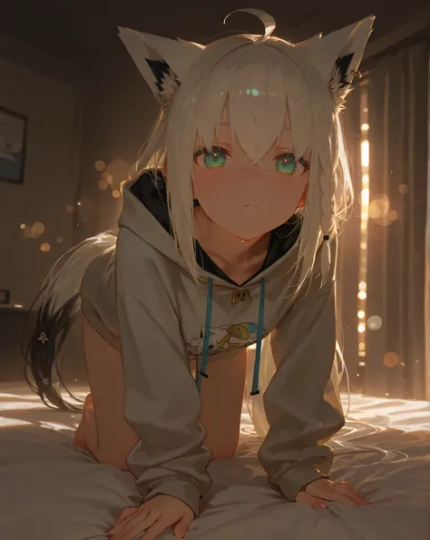 1girl, Shirakami Fubuki_(Hololive), High Quality, masterpiece, 4K, 8k, Hi-Res, Super Detailed, HDR, super high resolution, studio lighting, ultra fine painting, extremely detailed explanation, Professional, brightly colored, Bokeh, anime style,source anime...