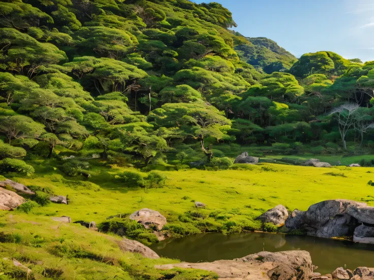 a landscape with sky, rio, trees and rocks to serve as the background of a video for calm and quiet meditation
