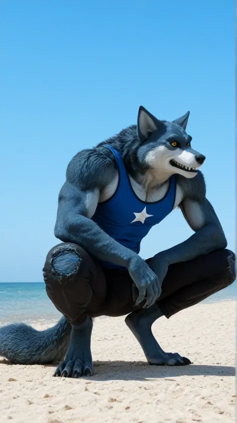 Male blue werewolf, blue tank top, white star print, furry,  squatting in the front, squatting , on the outside, cuerpo completo, wolf tail , looking at the spectator,  amber eyes , anthropomorphic wolf, in front al espectador , in front, vista frontal , R...