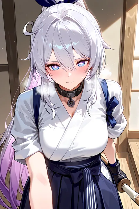 score_9, score_8_up, score_7_up, masterpiece, best quality, very aesthetic, absurdres, tunning image, attractive image, 1girl, adult grown woman, solo, kiana kaslana \(honkai impact 3rd\), herrscher of finality, white hair, ahego, high ponytail, long hair,...