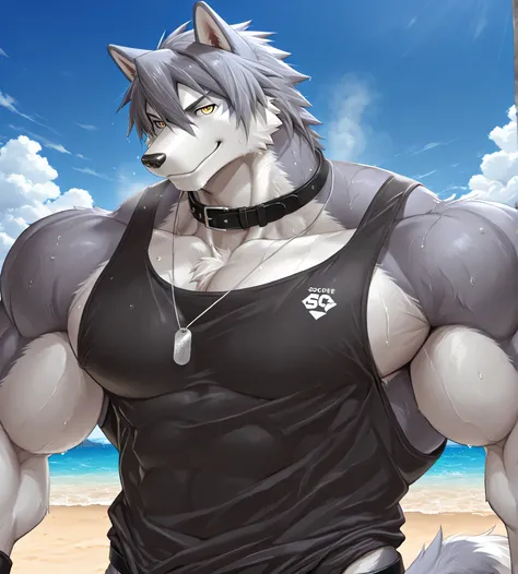 detailed background, low view, beach, close up, solo, alone, rex furry style XL, score_9_up,score_8_up,score_7_up,score_6_up,score_5_up,score_4_up, BREAK kemono, bara, furry, 1boy, anthro, kouya_aotsuki, husky, morenatsu, yellow eyes, dog tag, gray fur, ma...