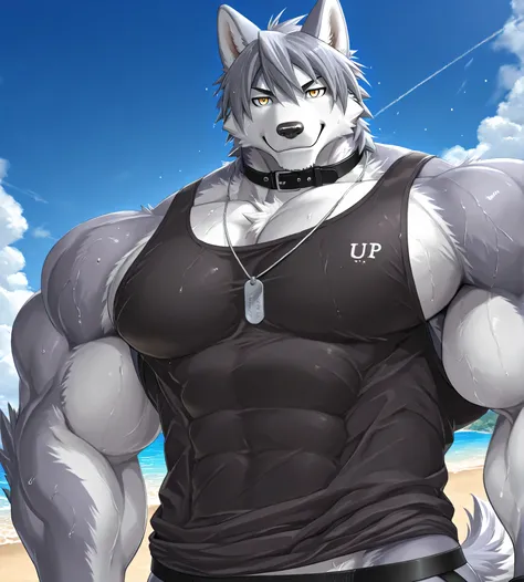 detailed background, low view, beach, close up, solo, alone, rex furry style XL, score_9_up,score_8_up,score_7_up,score_6_up,score_5_up,score_4_up, BREAK kemono, bara, furry, 1boy, anthro, kouya_aotsuki, husky, morenatsu, yellow eyes, dog tag, gray fur, ma...