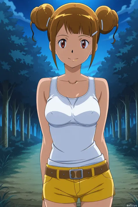 score 9、score 8 up、score 7 up、source anime、anime coloring、anime screencap、anime screenshot、best quality、best resolution、best image quality、傑作、1girl、digimon adventure tri、hikari yagami tri、brown hair、short hair、brown eyes、blunt bangs、hair pin、hair bun、doubl...