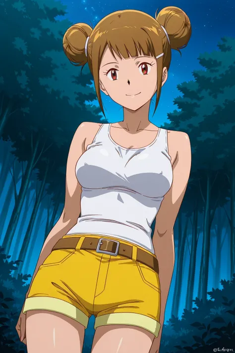 score 9、score 8 up、score 7 up、source anime、anime coloring、anime screencap、anime screenshot、best quality、best resolution、best image quality、傑作、1girl、digimon adventure tri、hikari yagami tri、brown hair、short hair、brown eyes、blunt bangs、hair pin、hair bun、doubl...