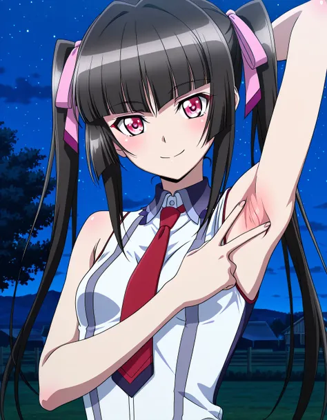 tsukuyomi shirabe, sidelocks, pink eyes, black hair, Blunt bangs, twintails, hair ribbon, lydian academy school uniform, red necktie,  sleeveless, small breast, anime screencap, high quality, alone, farm, night sky, <lora:spread-armpit-illustriousxl-lora-n...