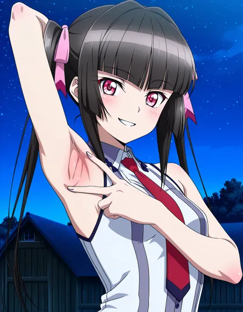 tsukuyomi shirabe, sidelocks, pink eyes, black hair, Blunt bangs, twintails, hair ribbon, lydian academy school uniform, red necktie, sleeveless, small breast, anime screencap, high quality, alone, farm, night sky, <lora:spread-armpit-illustriousxl-lora-no...