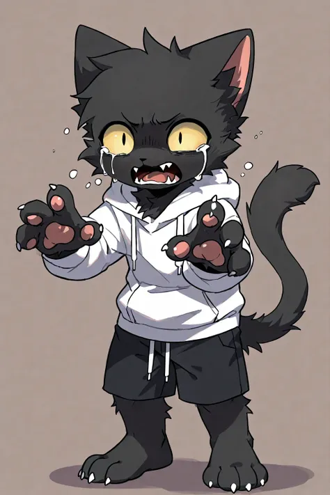 1boy, black cat boy, black fur, furry,super deformed,a young beast man with outstretched body and black cat ears and cat tail, white hoodie,black shorts,Barefoot,simple background,Half crying,see here,desperate expression,begging,