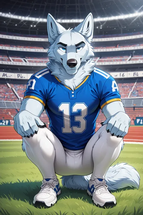 american football stadium background, blue eye, Reflections,  full body, Anthropomorphic, Adult Wolf, without humans,   by ango76 ,    Masterpiece, better quality,very aesthetic, newest,  anthropoid, mammal, a child, Clothes, Alone, Porry , Porry  Macho , ...