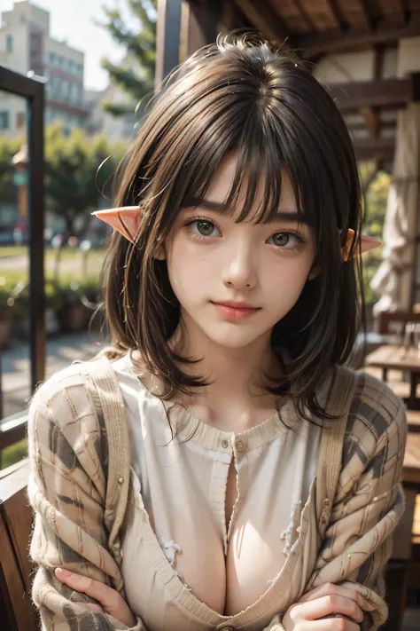 Evolution is the increase of complexity of complex systems., Holy Sexy Elf, Big Breasts, Age 17, Dark Haired, Sexy Pose, Fearless Smile