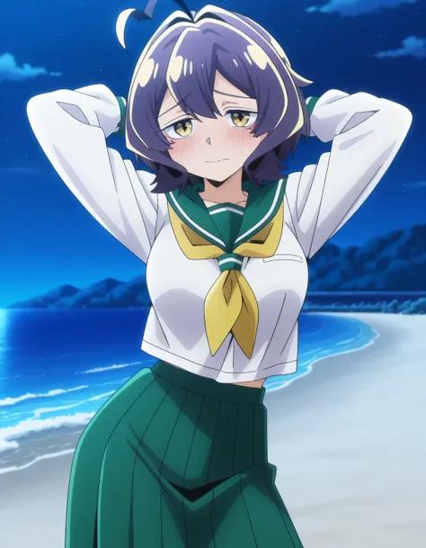 EBBaiser, medium breasts, purple hair, ahoge, bangs, short hair, yellow eyes,
white shirt, green sailor collar, green pleated long skirt, long sleeves, yellow neckerchief, school uniform, serafuku, anime screencap, shiny skin, solo, night sky, beach, arms ...