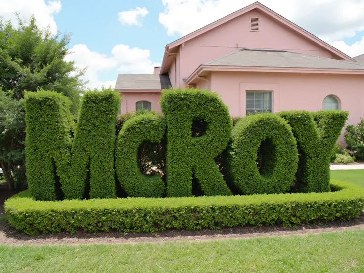 Meticulously manicured juniper bushes in the shape of the word "(McRoy)" perfect spelling, a large pink two-story house in the background, icon style. Ultra-realistic, photo-realistic, cinematic photography, hyperrealistic,  3D rendered realism, UHDR, high...