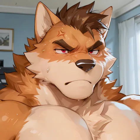 Red Eyes, Light Orange Chest Fur, Orange Fur, Furry Male, Anthropomorphic, Brown Hair, Daddy,angry detailed image