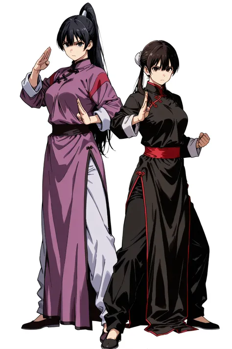 chinese clothes,KungFuUniform,score_9, score_8_up, score_7_up, gsfghtr, multicolored robe, multiple girls, 2girls, white background, serious,, kohei horitoshi, mature female, looking at viewer, quarter, breasts, full body, pants, long ponytail, fighting st...