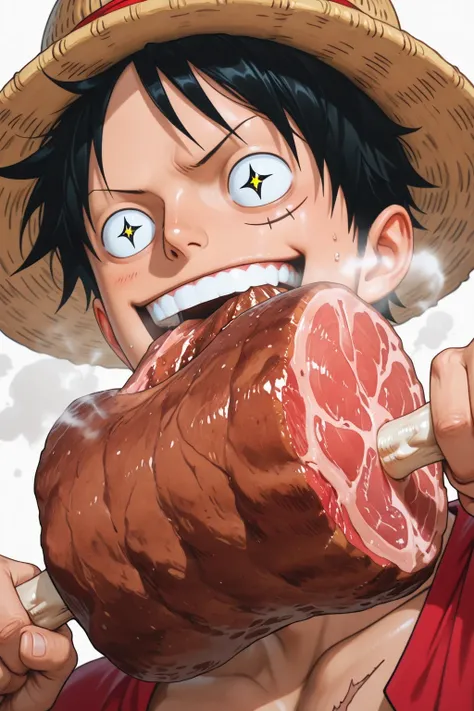 sole, l boy, luffy, black hair, black eyes, sparkling eyes, scar on face, holding boned_meat, steam rising from meat, eating joyfull with  delighted jexpression