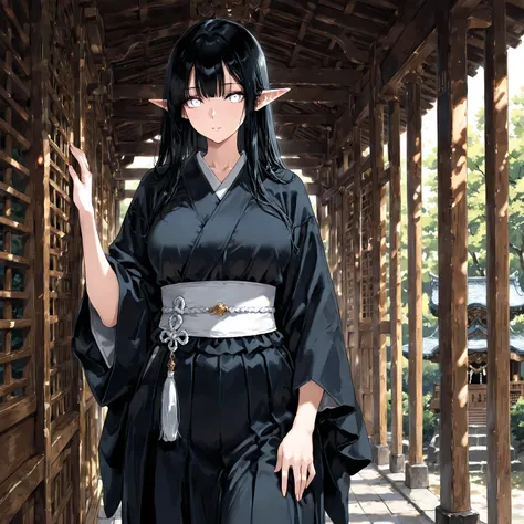 masterpiece, best quality, simple, solo, 1female, adult, female focus, fair skin, long straight black hair, white eyes, dark shrine outfit, standing in shrine gate, stoic presence