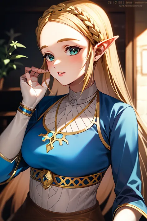 masterpiece, best_quality, 1girl, solo, princess zelda, nintendo, the legend of zelda, botw