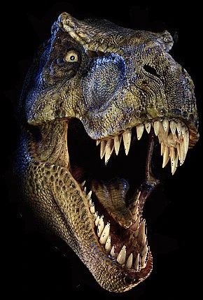 Jurassic Series Tyrannosaurus