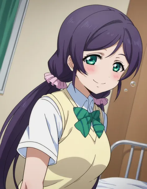 Nozomi Toujou Love Live School Idol Project for Pony