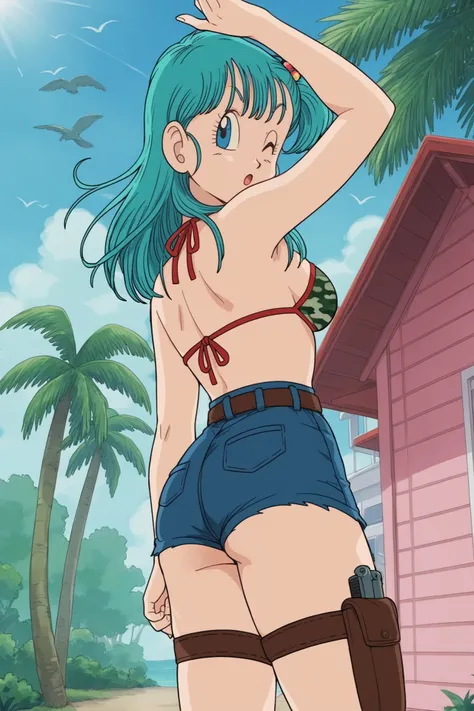 Bulma - Dradon Ball Z V1