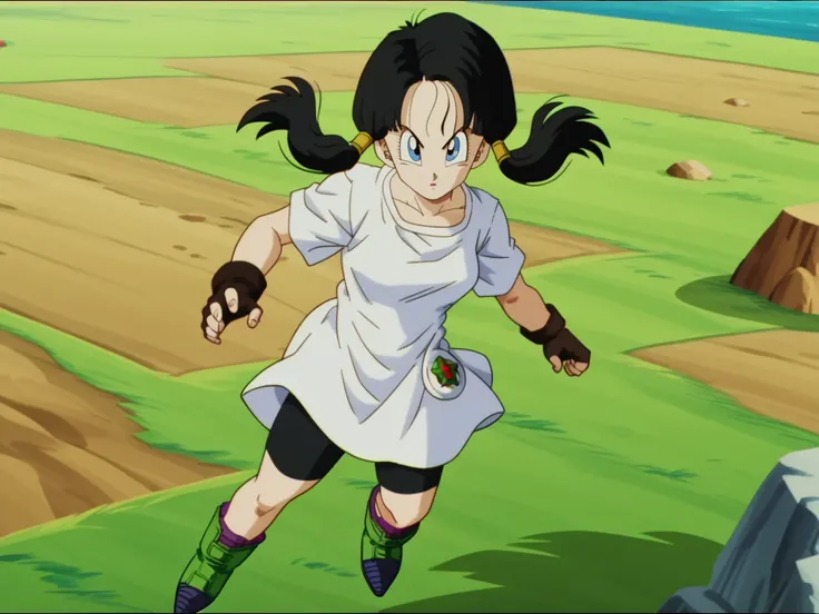 Videl - Dragon Ball Z