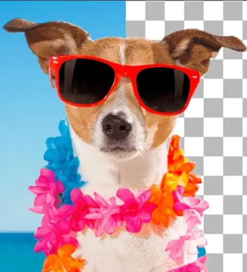 Inspyrenet Background Removal