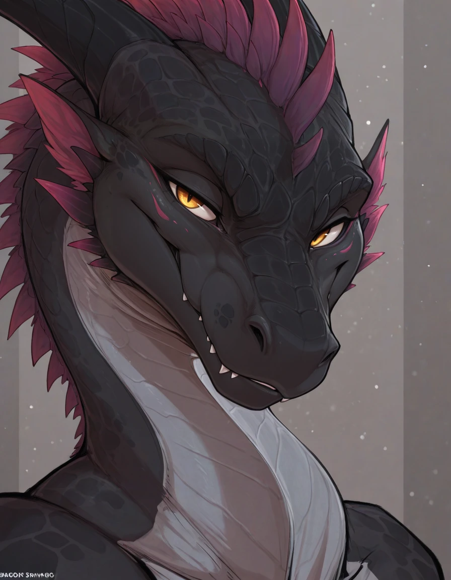 Dragons and Drawings - Style 2500 steps