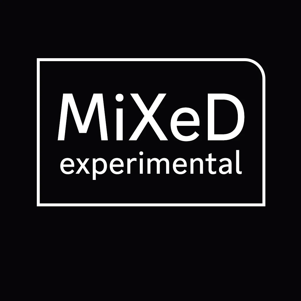 MiXeD Experimental - Flash Cut Series smash-high-i2v