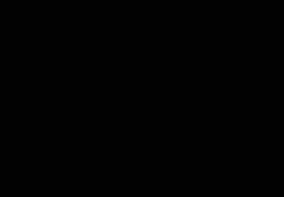 P@m! v1