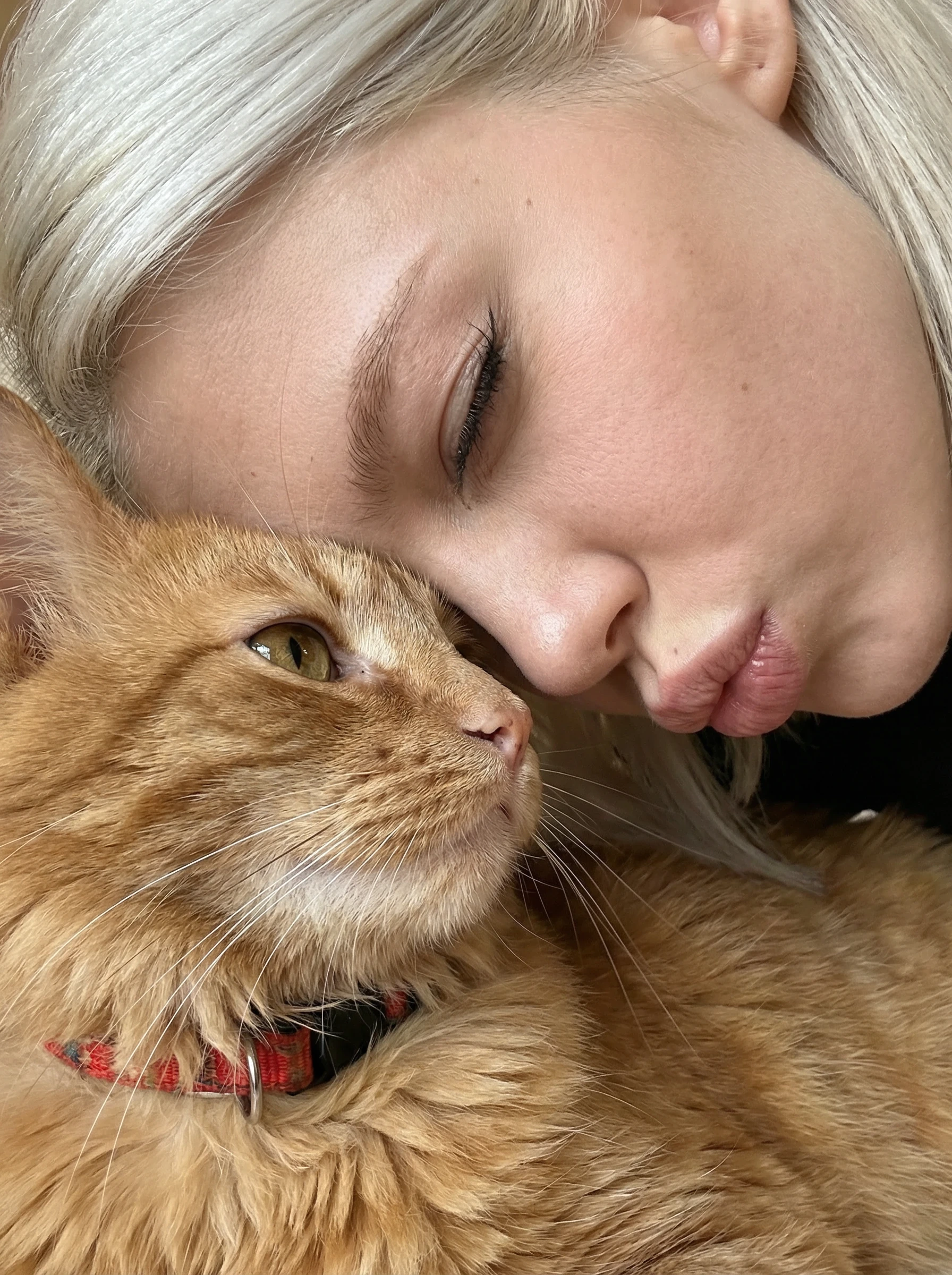 Me & My Pet (Close-Up)