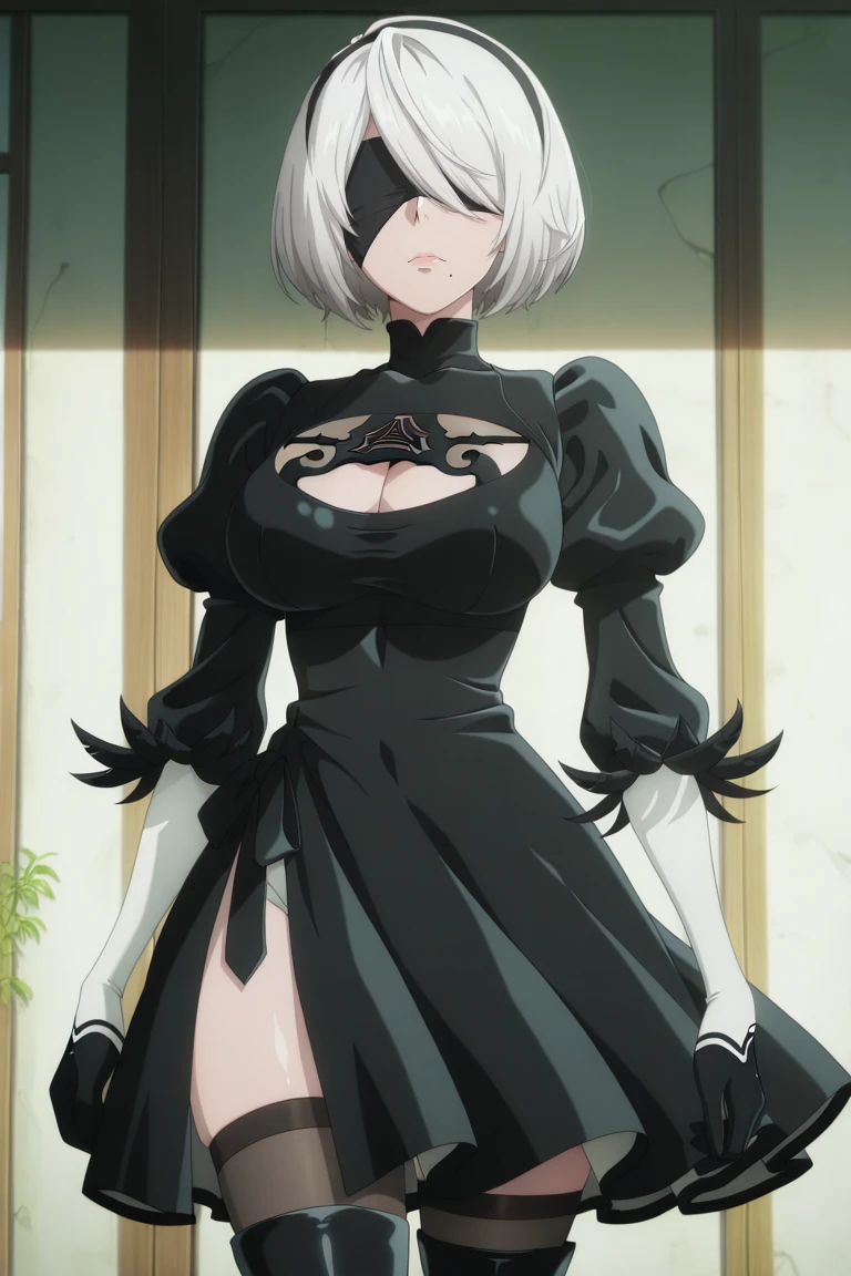 Yorha 2B Nier automata v2 v1
