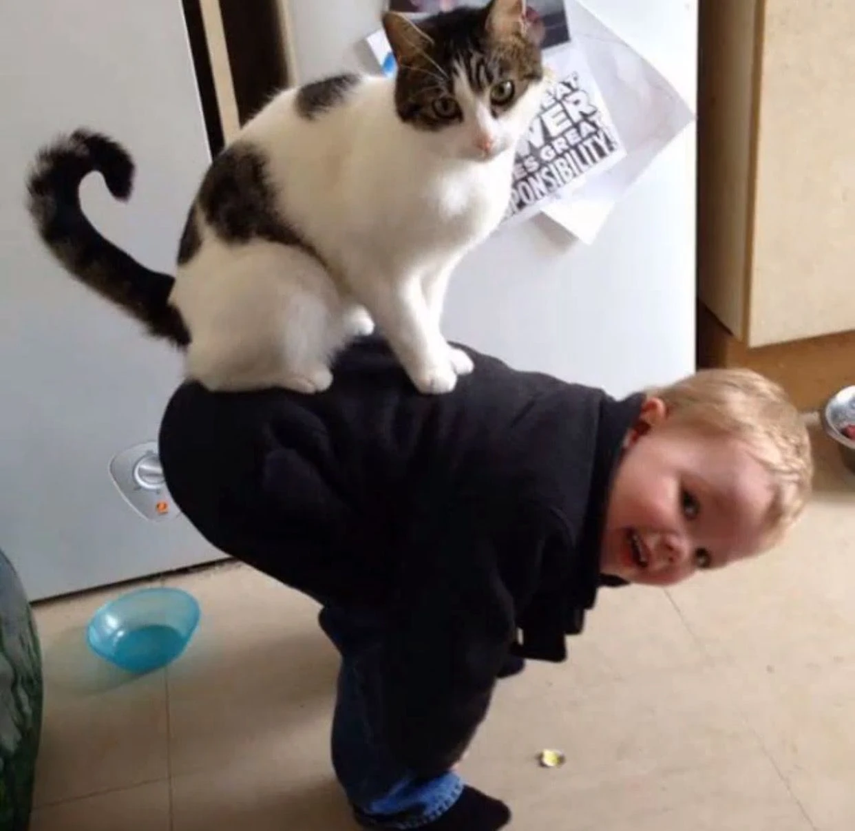 da 1
