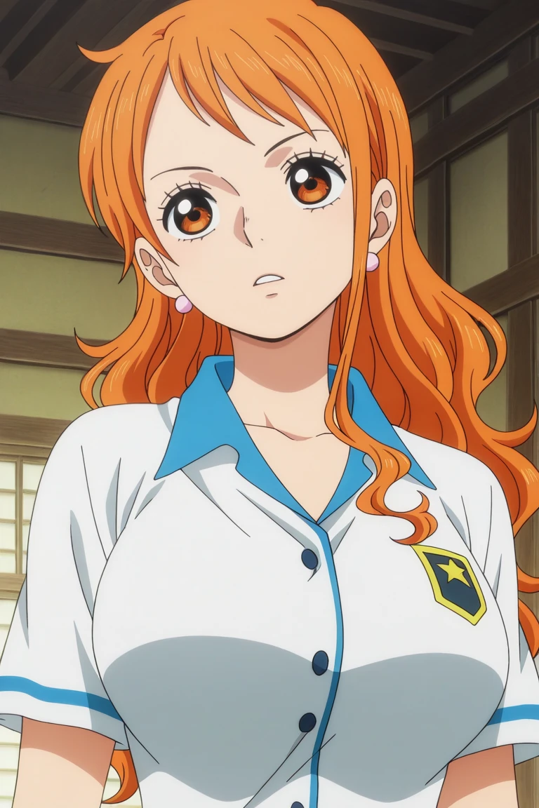 Nami Wano saga v1