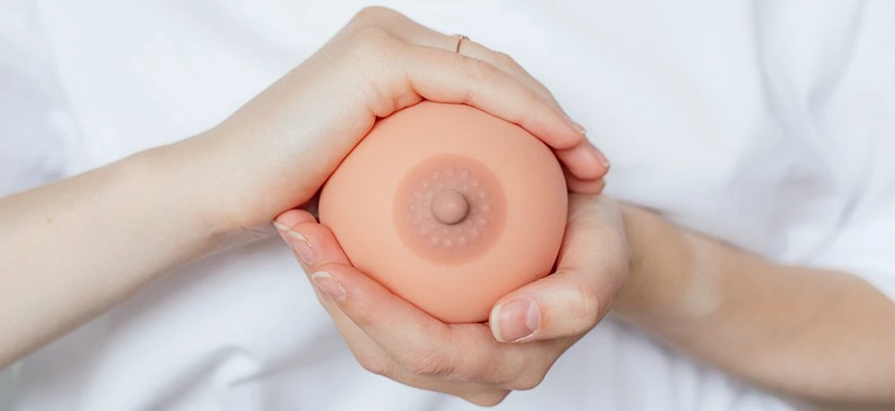 NippleDiffusion - Flux2.Klein Long_v1