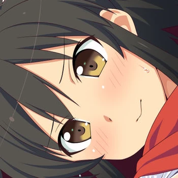 閃乱カグラstyle 1