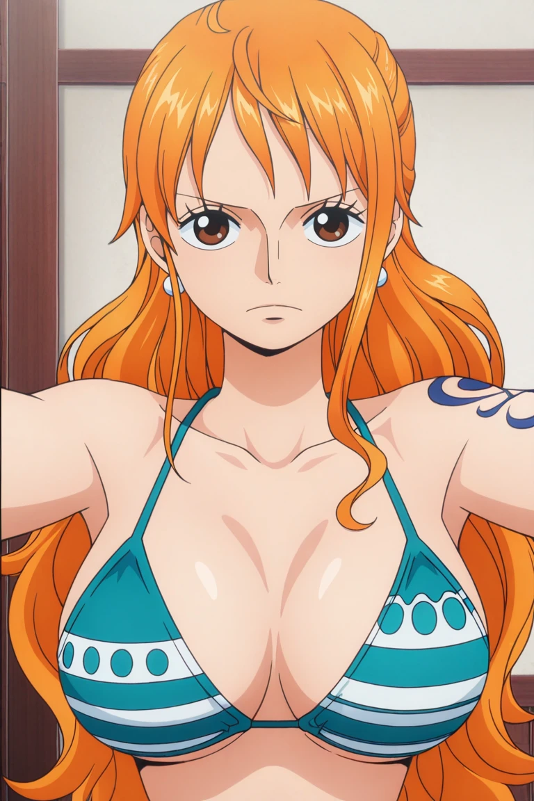 Nami One piece v1