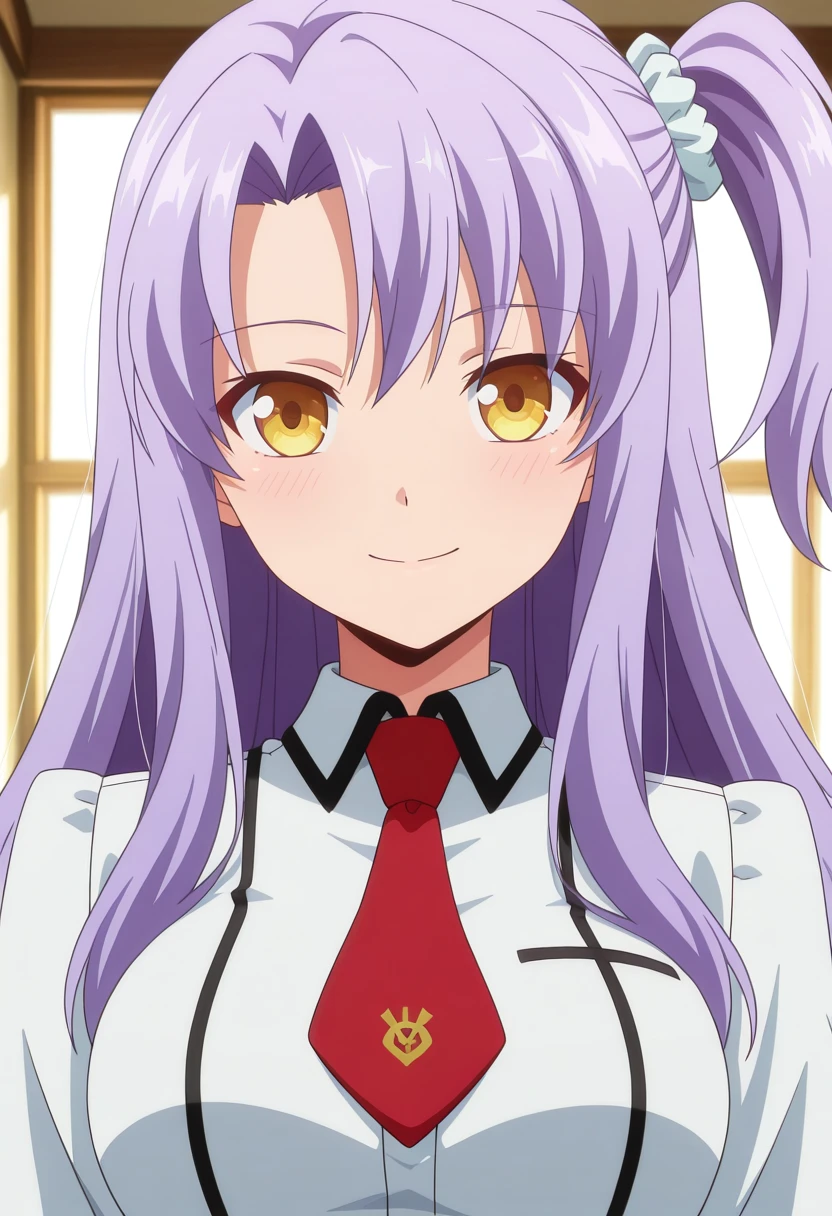 新野すみれ (Niino Sumire) - バカとテストと召喚獣 (Baka and Test) v1.0 IL