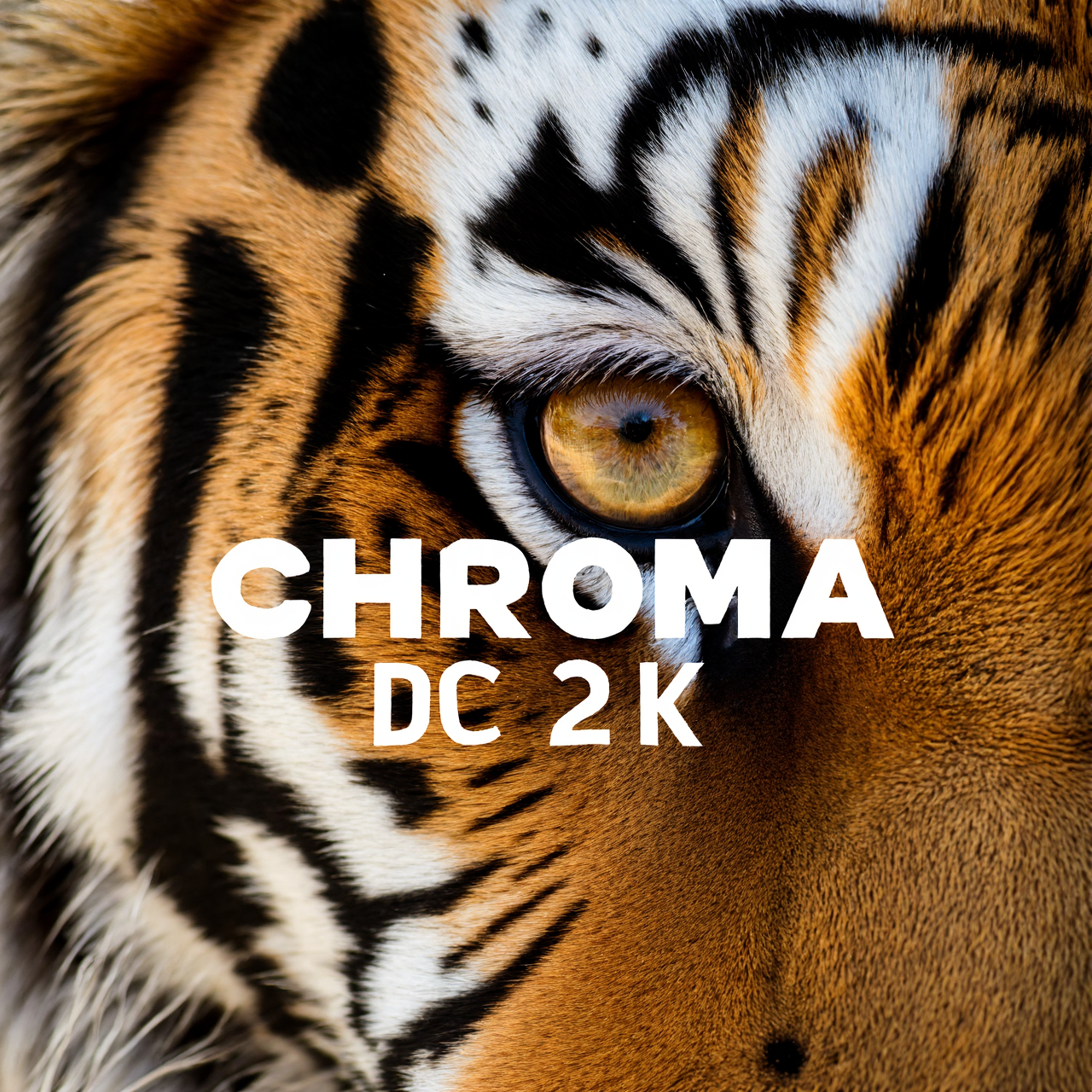 chroma-dc-2k 1