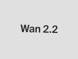 wan2.2-rapid-mega-aio-v12-Q8_0.gguf_rel_260420