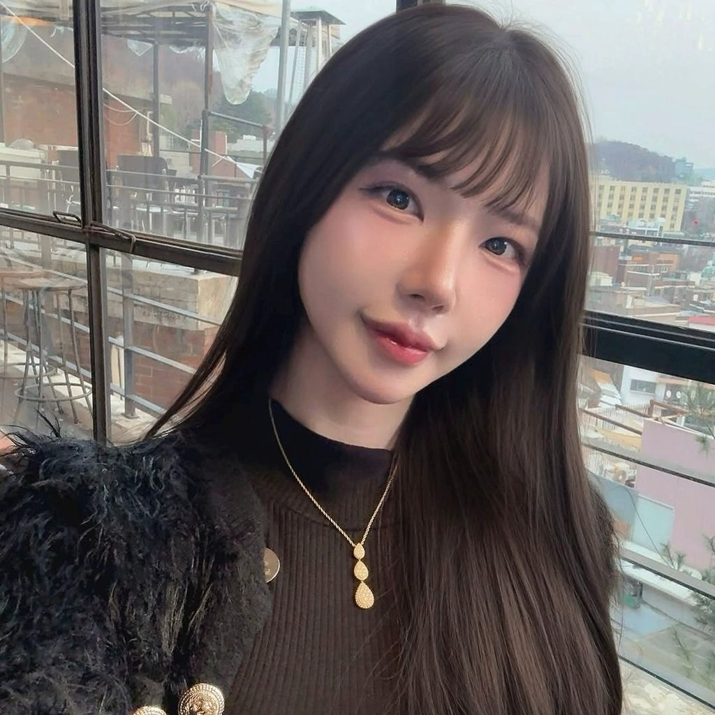 채채안100251 v1.0