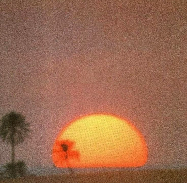 vhs 1