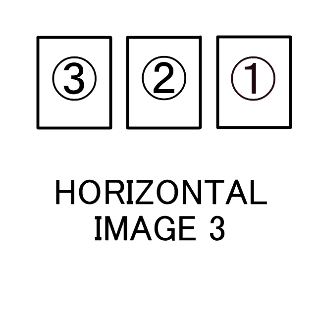 水平3画像